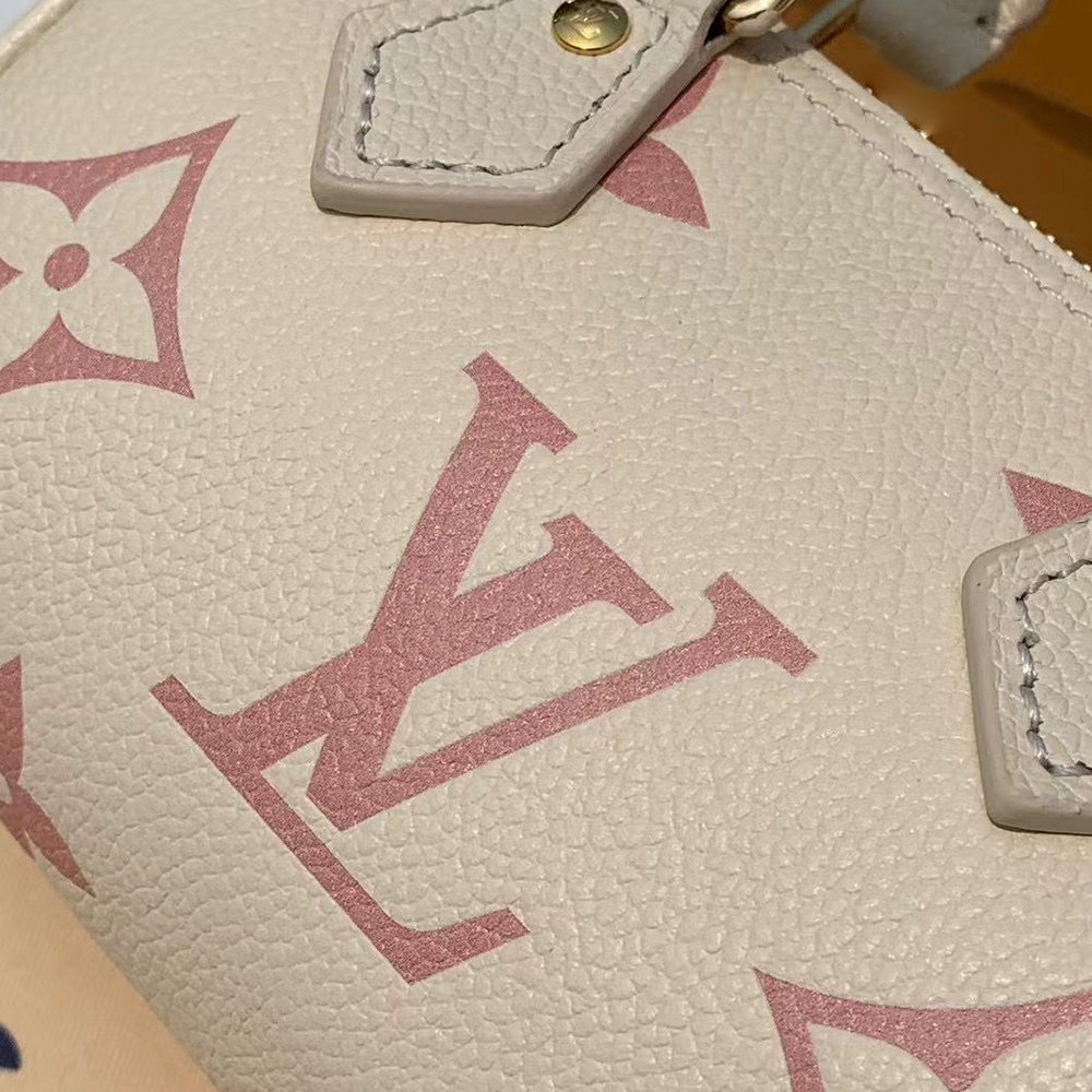 Louis Vuitton LV Nano Speedy Bag