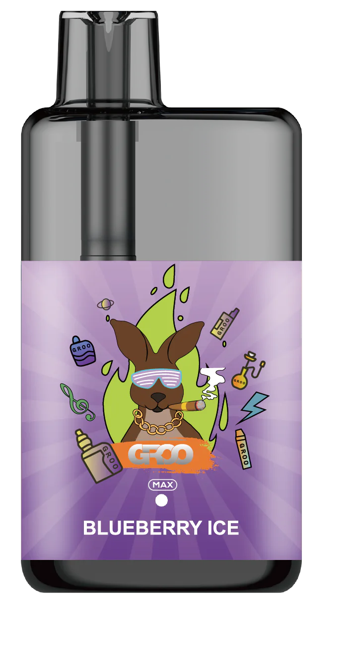GROO MAX 10K Rechargeable Disposable Vape – Blueberry Ice - Vaba Vape-Shop