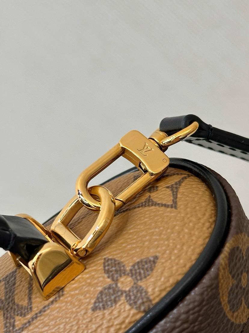 Louis Vuitton LV Vanity Monogram Reverse bag