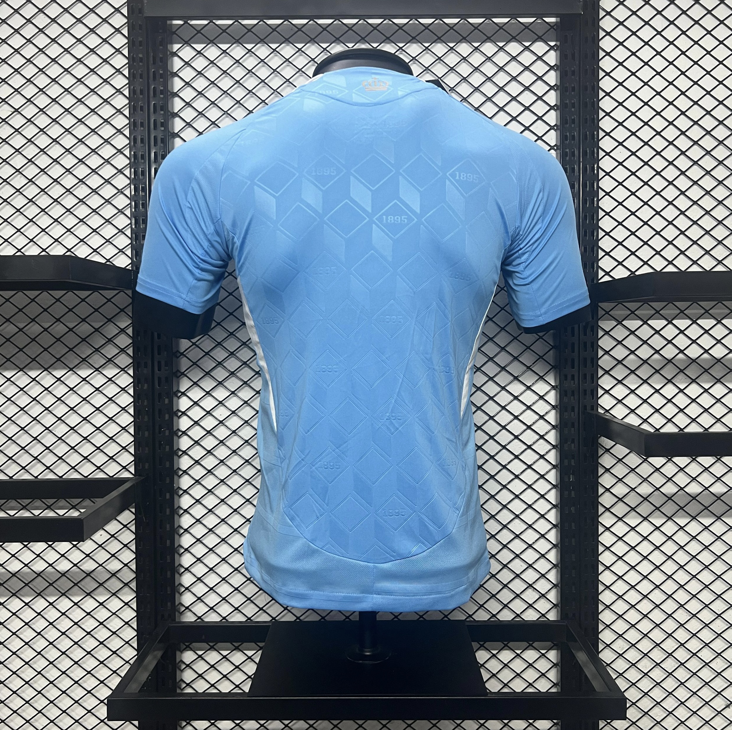 Player Version  Belgium 24/25 Away