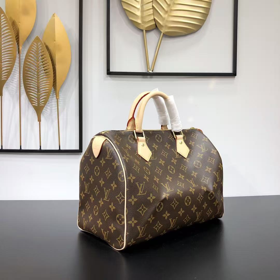 Louis Vuitton LV Speedy handbag