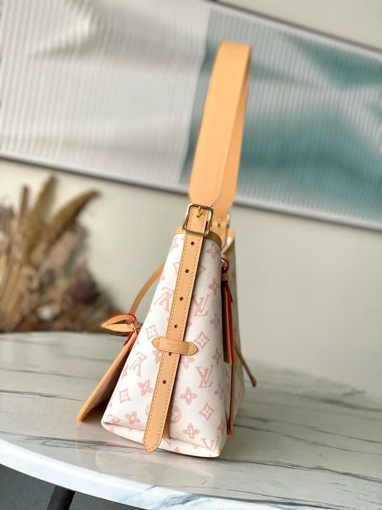 Louis Vuitton LV CARRYALL Bags