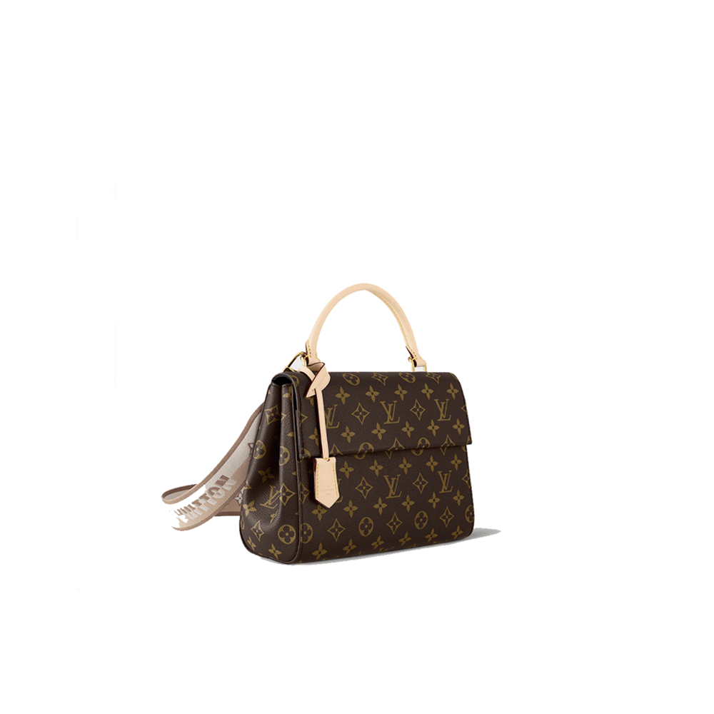 Louis Vuitton LV Cluny Bag