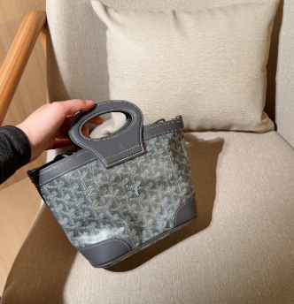 Goyard mini handbag