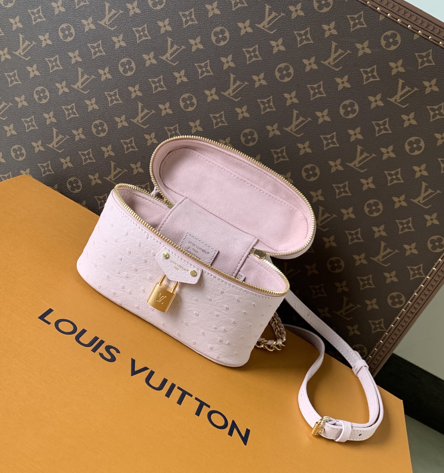 Louis Vuitton ostrich patterned Vanity Chain Pouch handbag