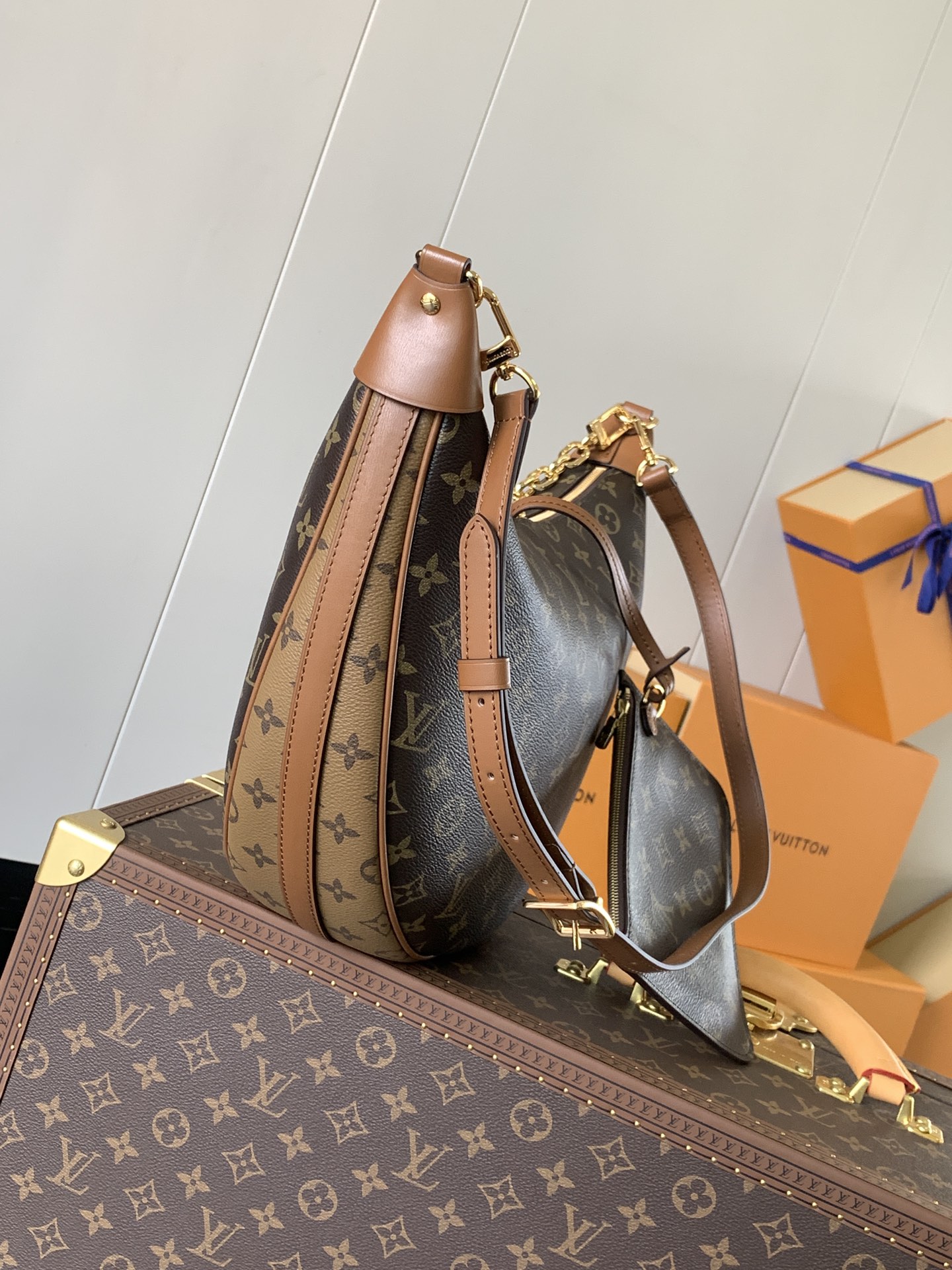 M46311 LV Loop Hobo Bag in Monogram Reverse Canvas