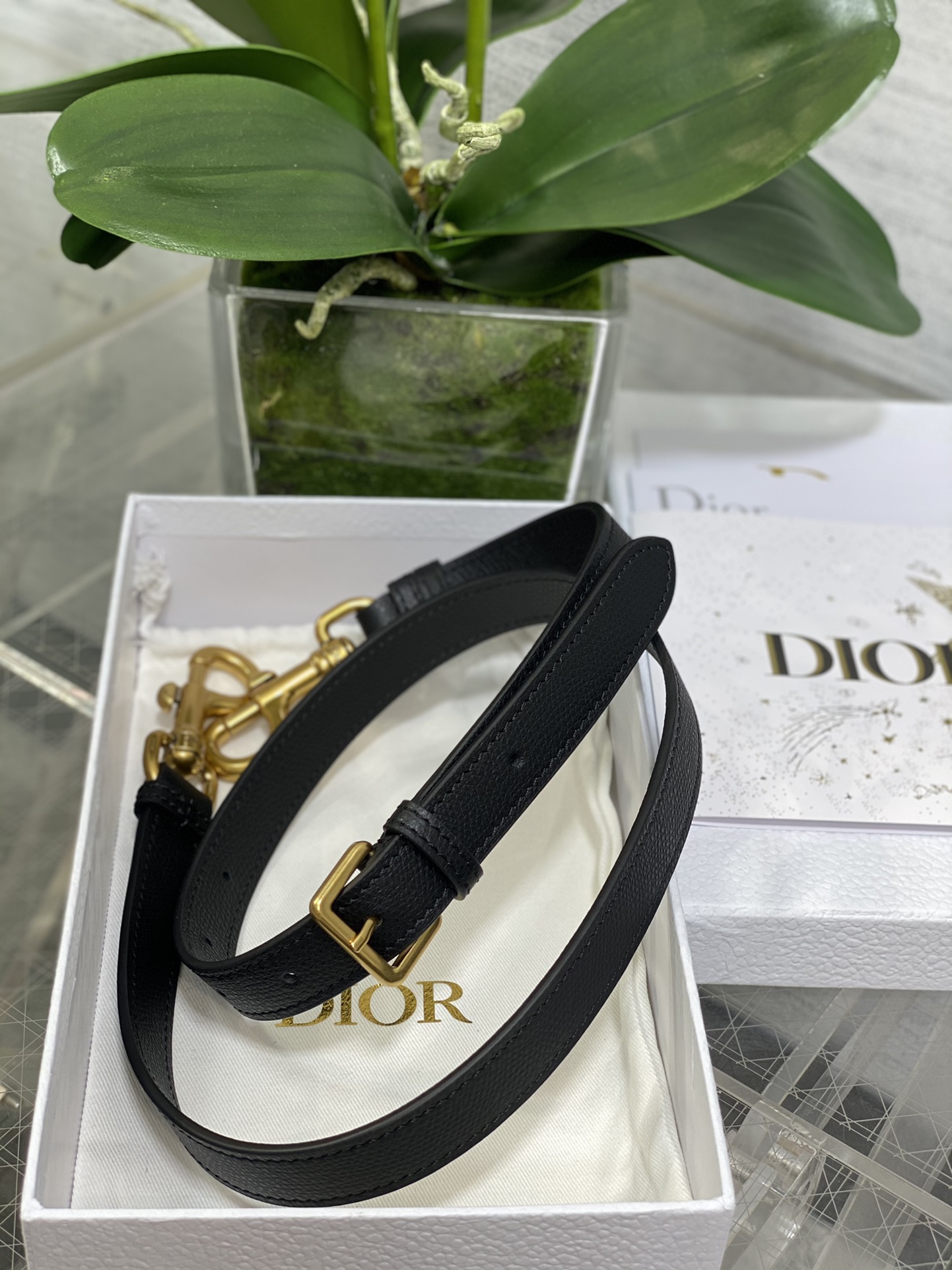 Dior Saddle Bag With Strap in Black