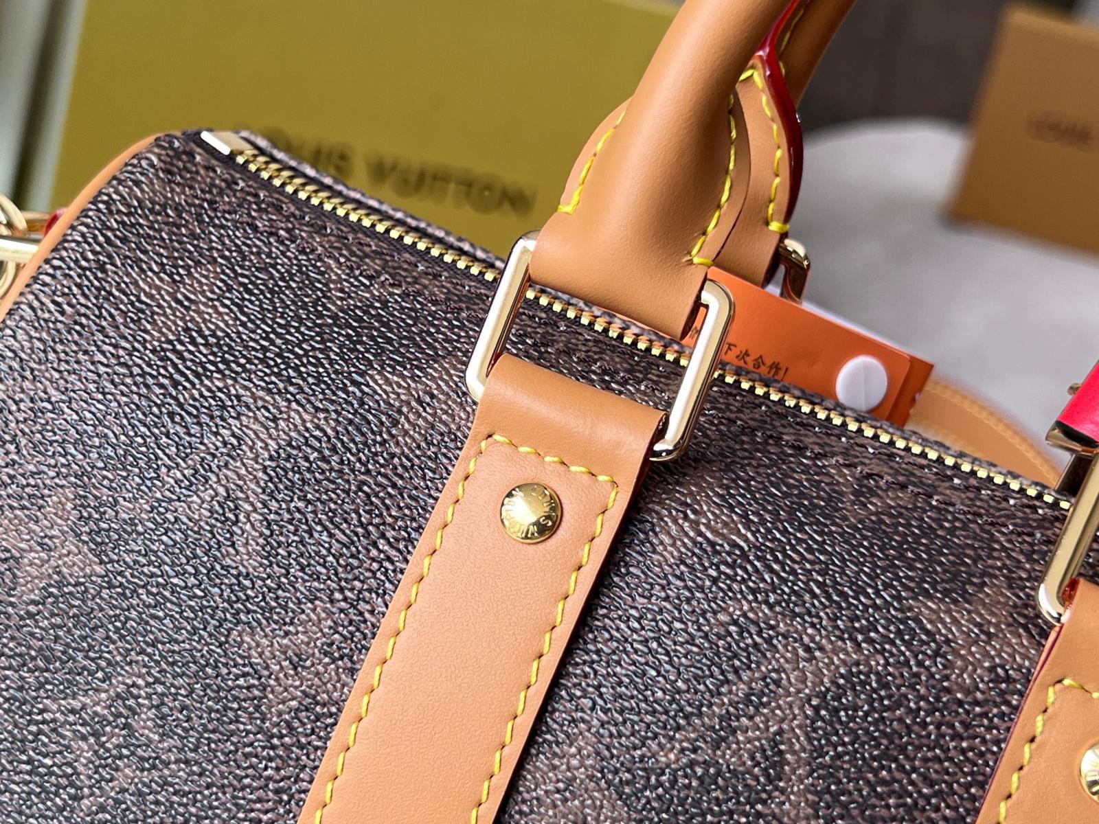 Louis Vuitton LV Keepall Bandoulière 25