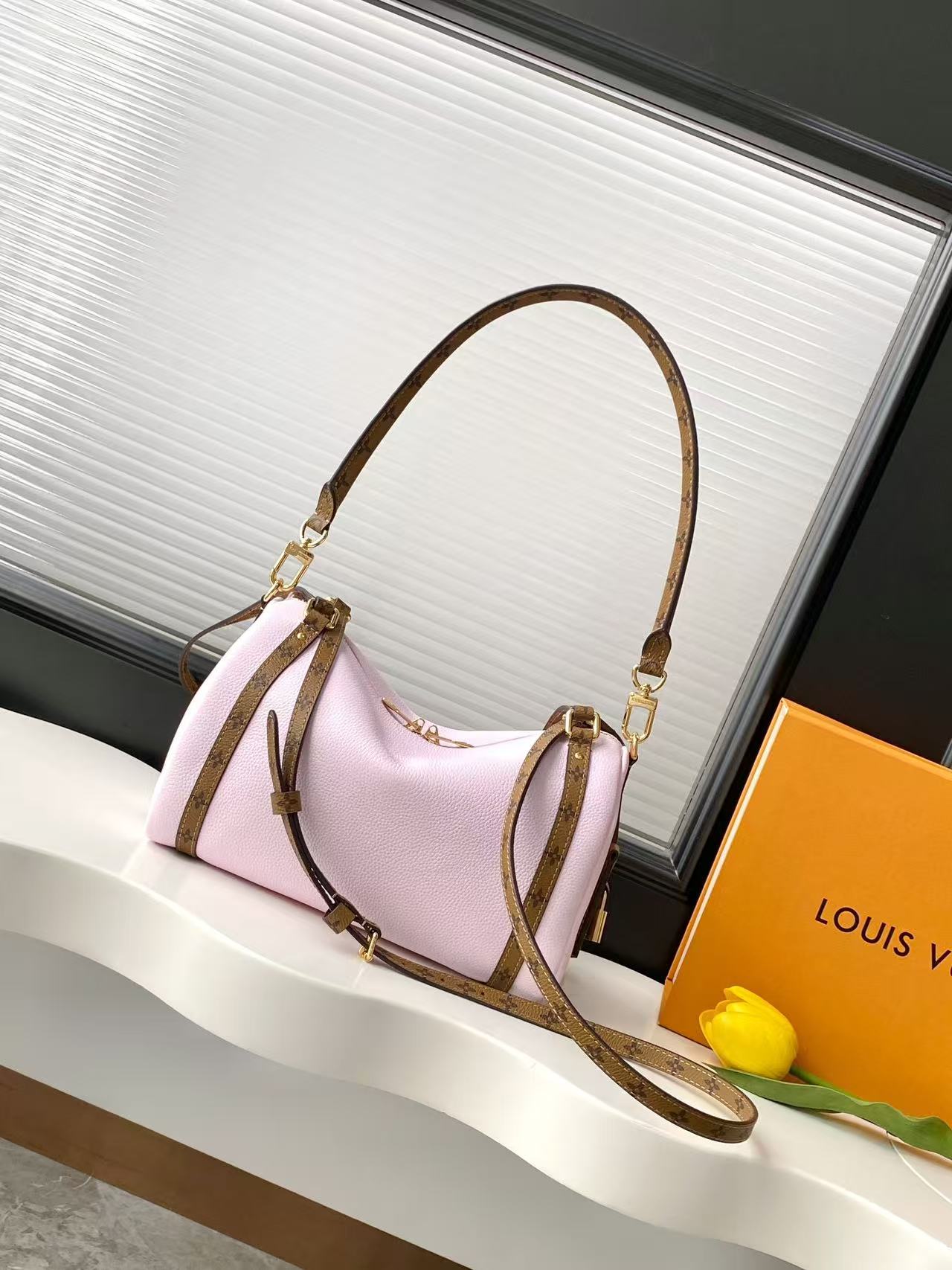 Louis Vuitton LV EXPRESS Bags