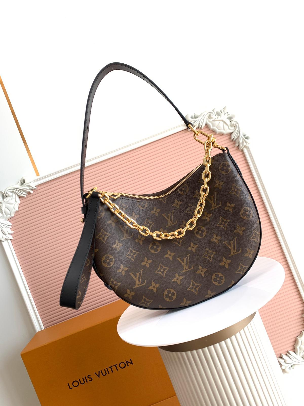 Louis Vuitton LV classic printed hobo bag