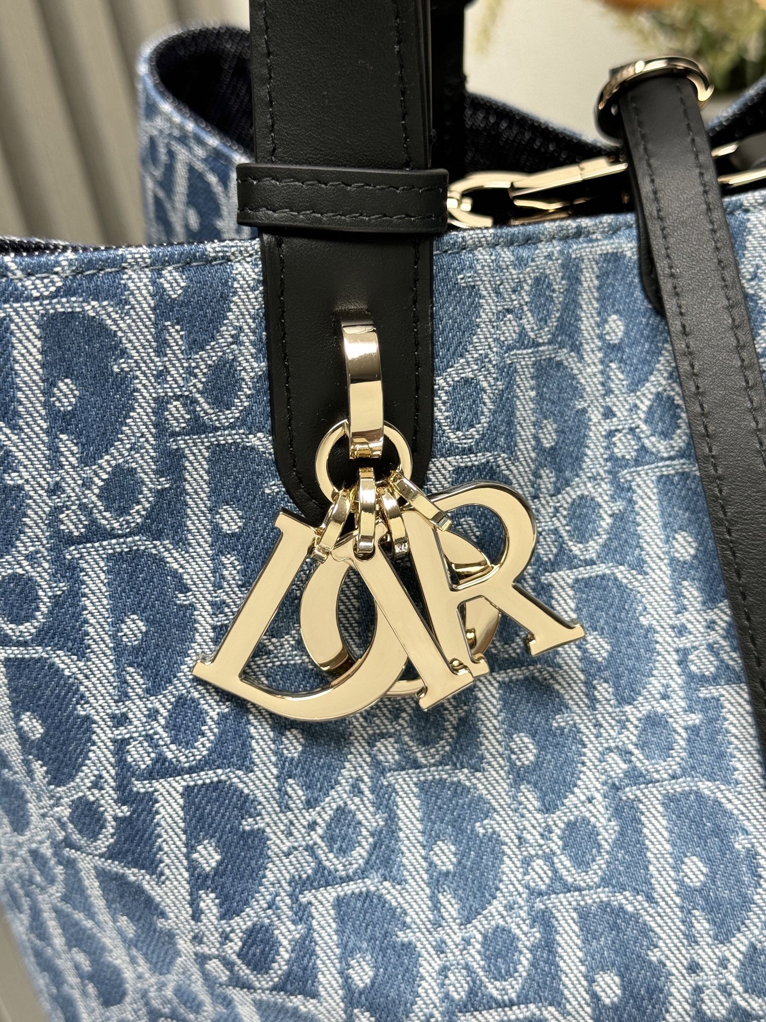 Dior Medium Toujours Bag in Blue Oblique canvas