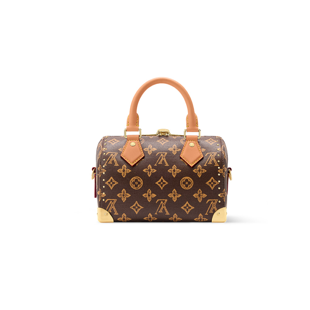 Louis Vuitton LV bags Speedy Trunk 20