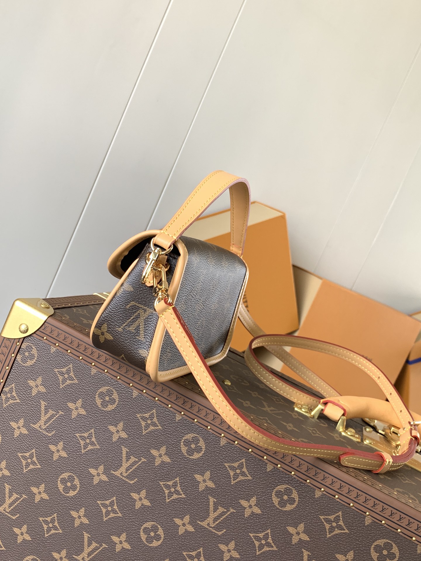 M83298 Nano Diane in Monogram Canvas