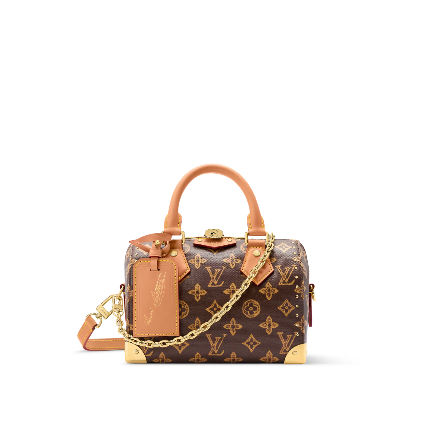 Louis Vuitton LV SPEEDY TRUNK 20 Bags