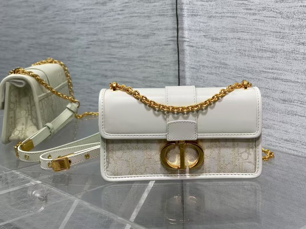DIOR 30 Montaigne East-West chain bag
