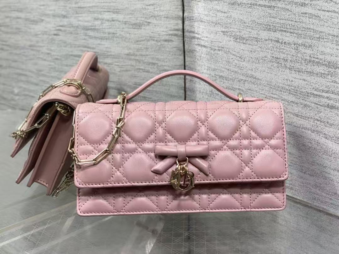 Dior new bow and vine patterned crossbody bag