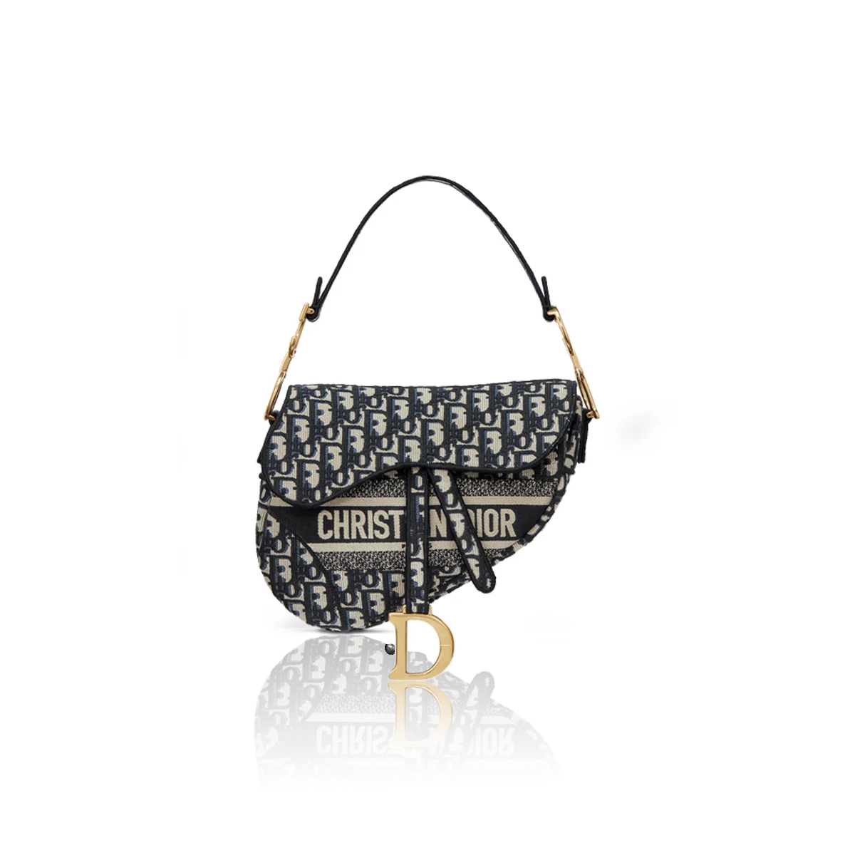 Dior SADDLE Bag Oblique Embroidered Handbag