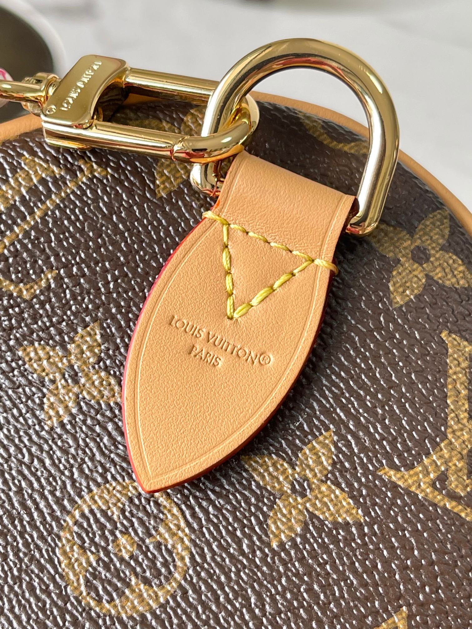 Louis Vuitton Paris A Vlo Speedy Soft 30 handbag collection