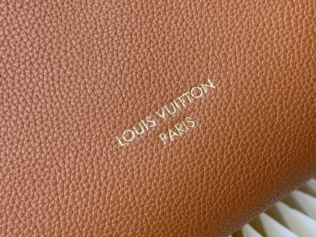 Louis Vuitton LV low key hobo small bag