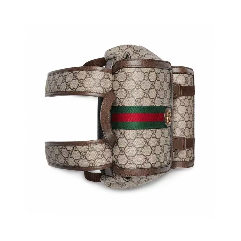 GUCCI Ophidia Small Backpack bag