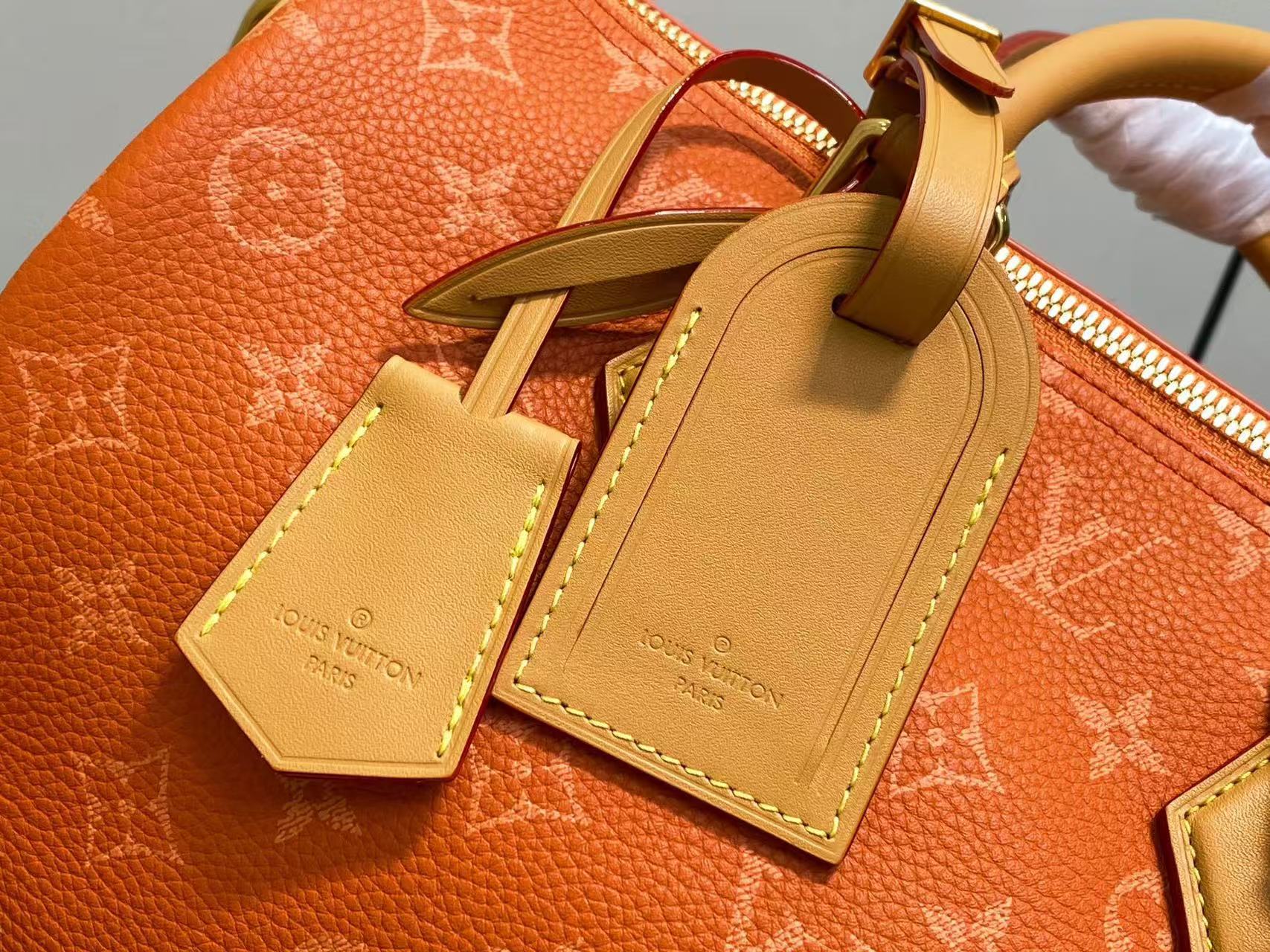 Louis Vuitton LV Speedy P9 Bandouli è re 30 handbag