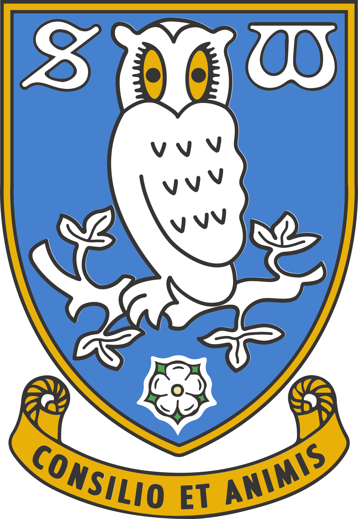 sheffield wednesday fc