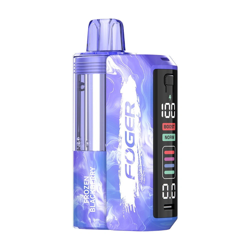 Foger Switch Pro 30000 Puffs Kit - Frozen Blackberry