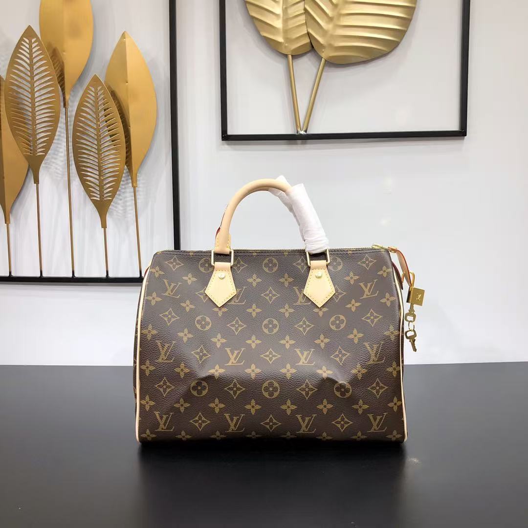 Louis Vuitton LV Speedy handbag