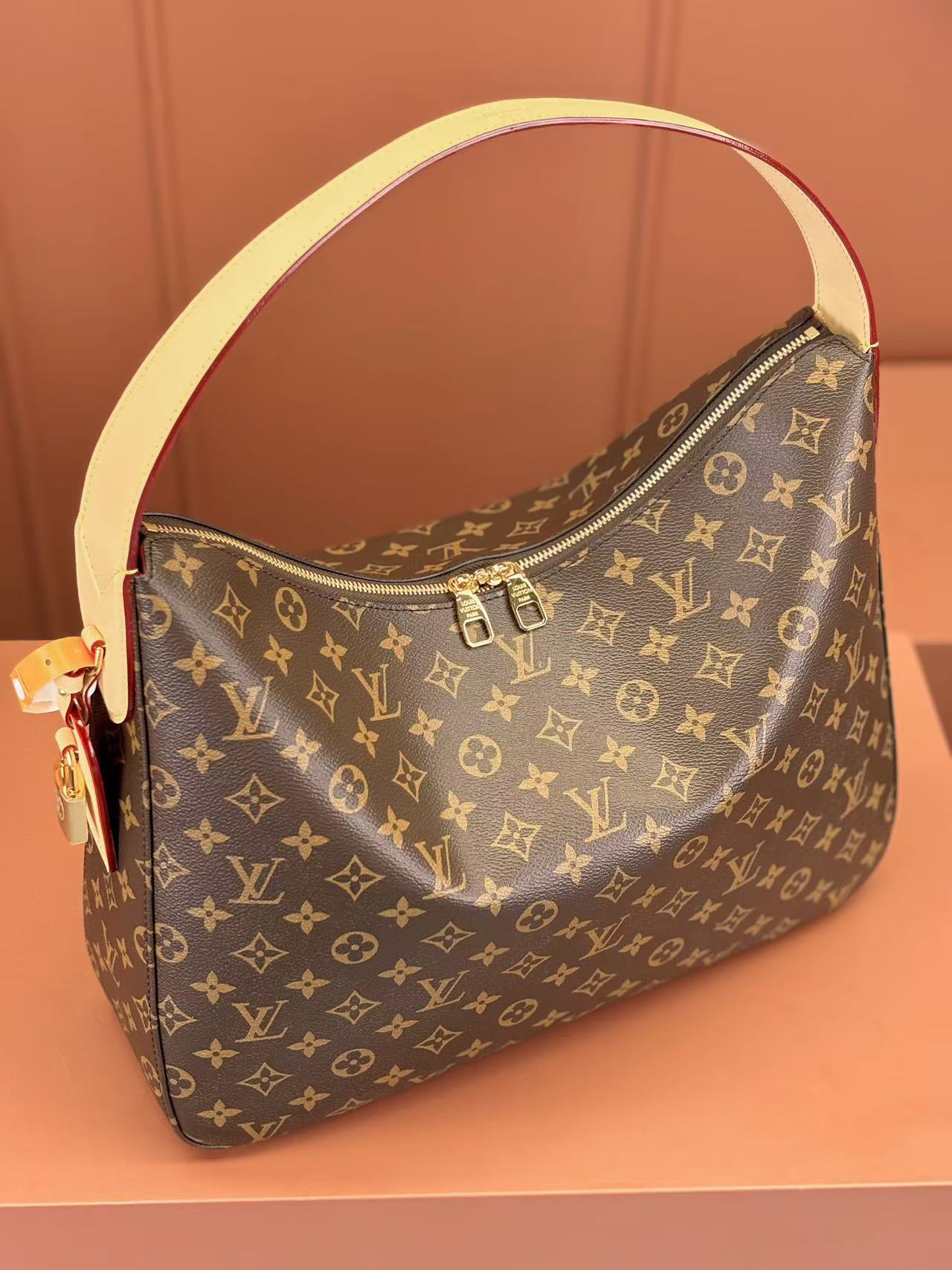 Louis Vuitton LV SLOUCHY handbag