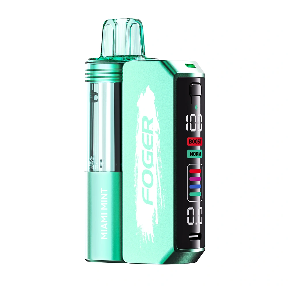 Foger Switch Pro 30000 Puffs Kit - Miami Mint