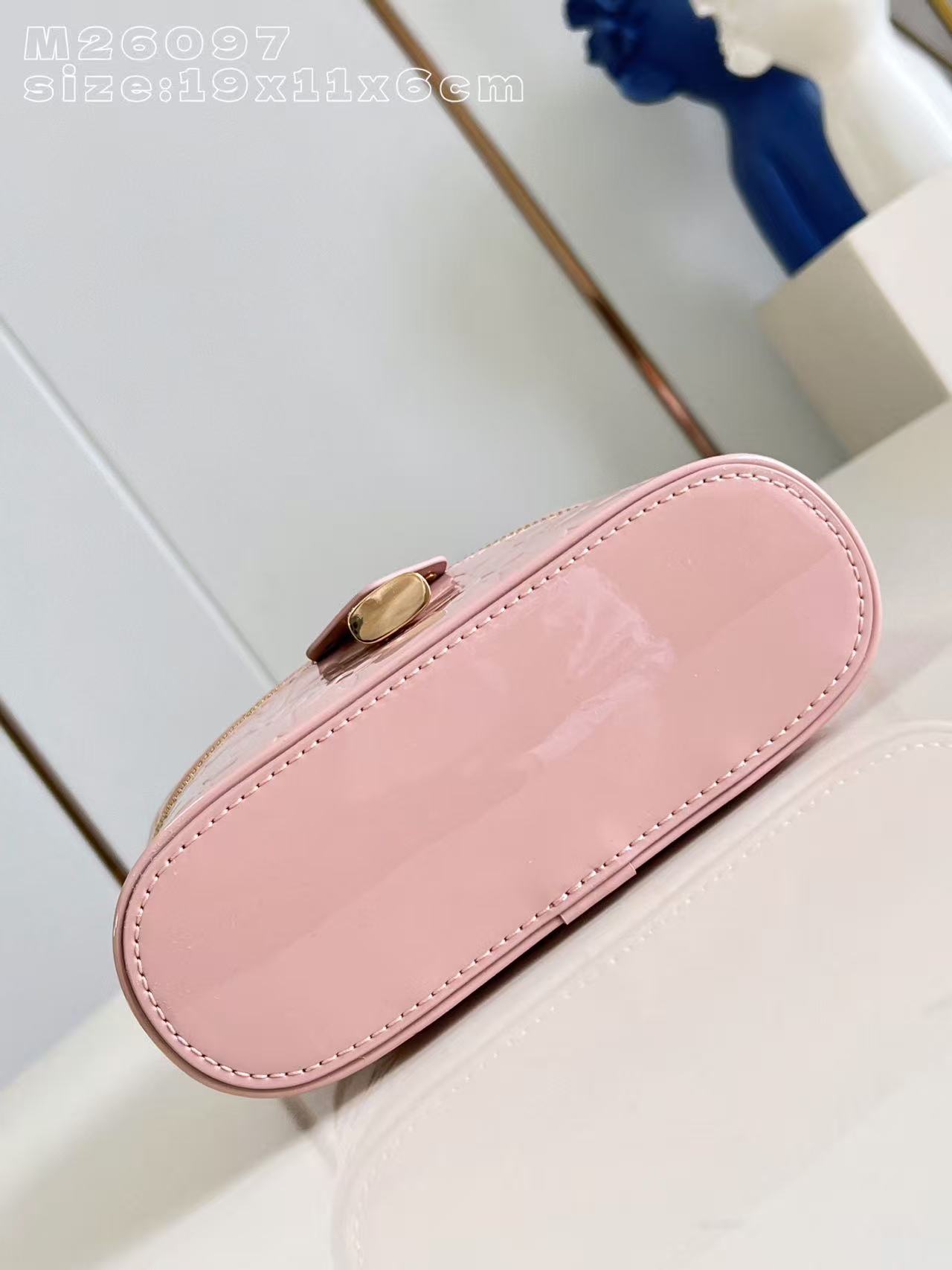 Louis Vuitton LV Vanity Chain Pouch handbag
