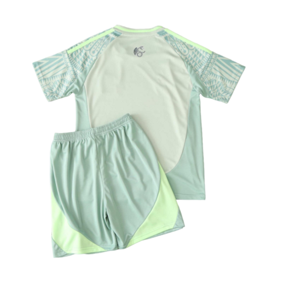 Kids Mexico Adidas Copa América Away Soccer Kits 2024