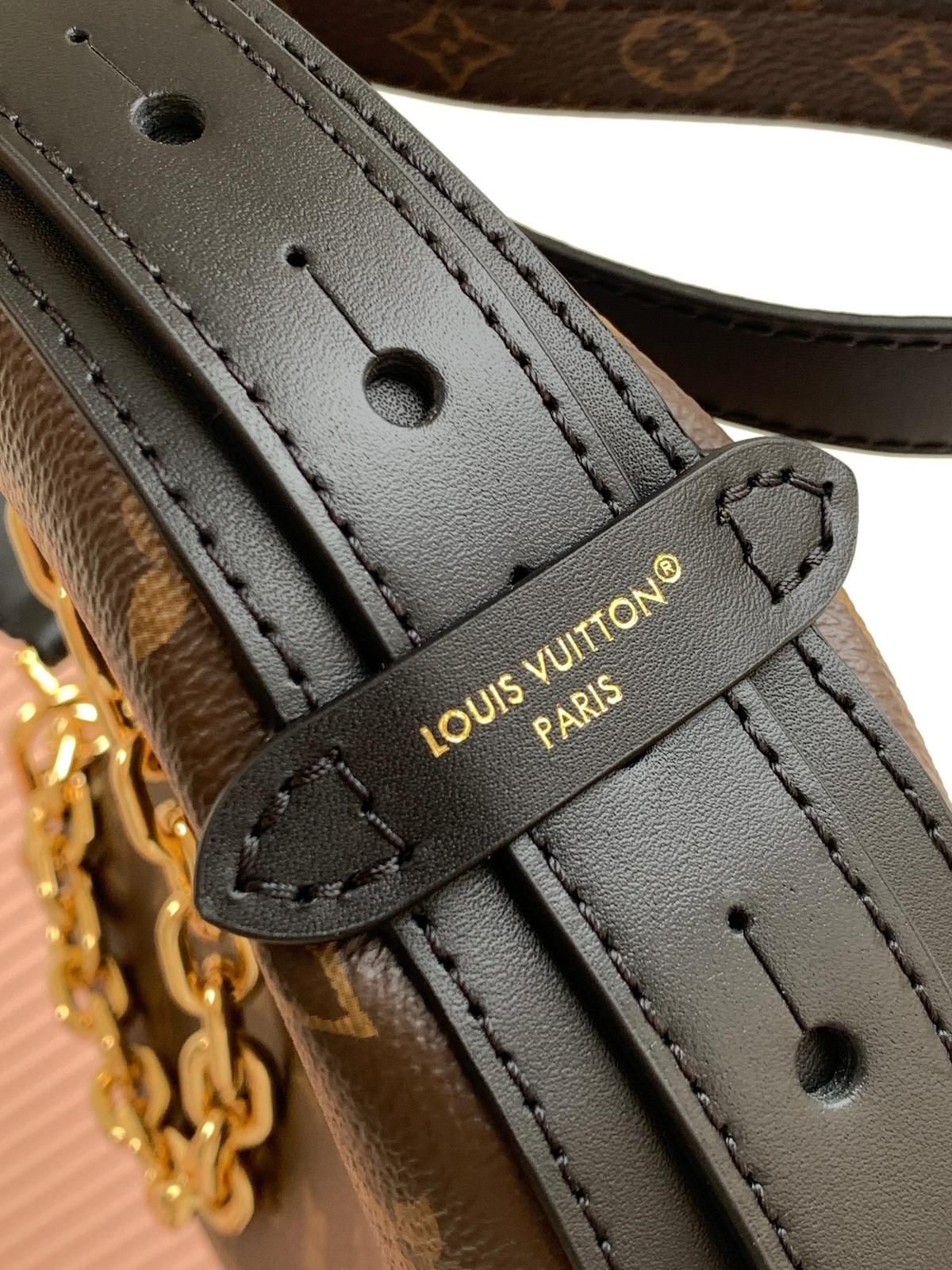 Louis Vuitton LV classic printed hobo bag