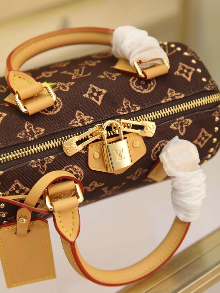 Louis Vuitton LV speedy 20 handbag