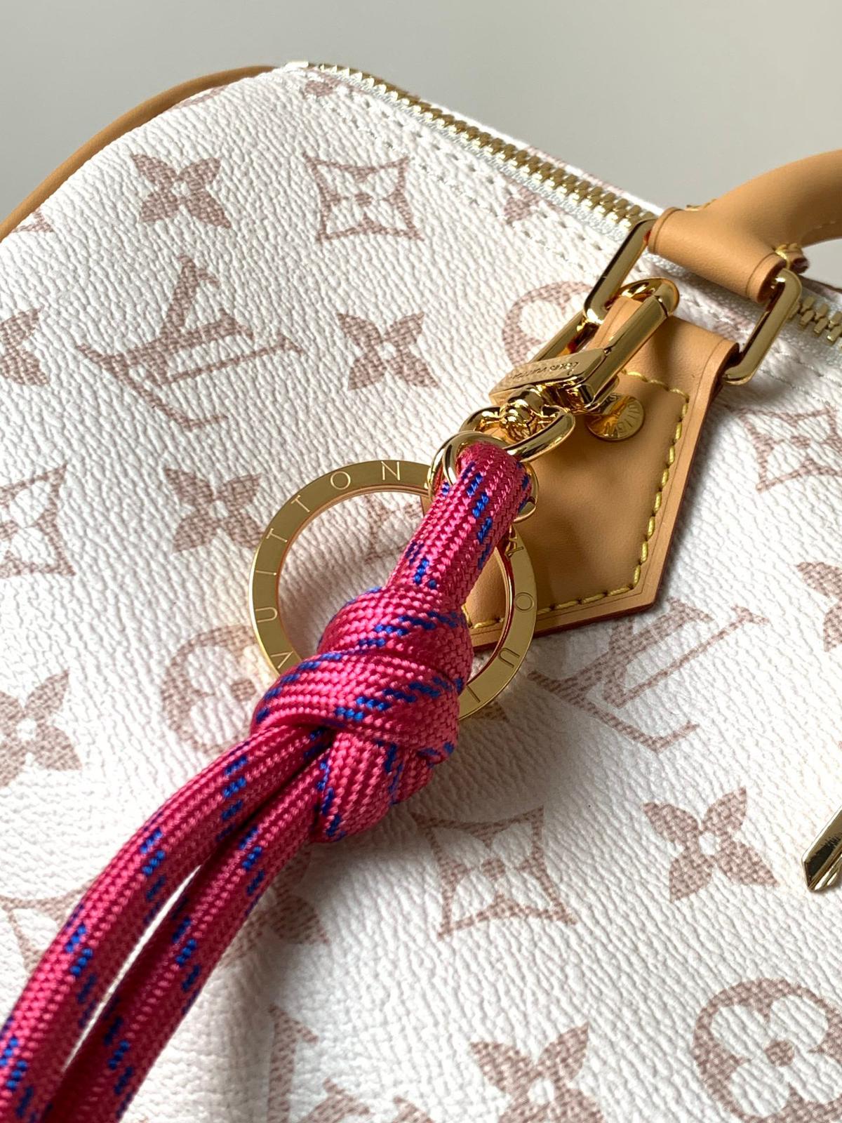 Louis Vuitton lv speedy 30