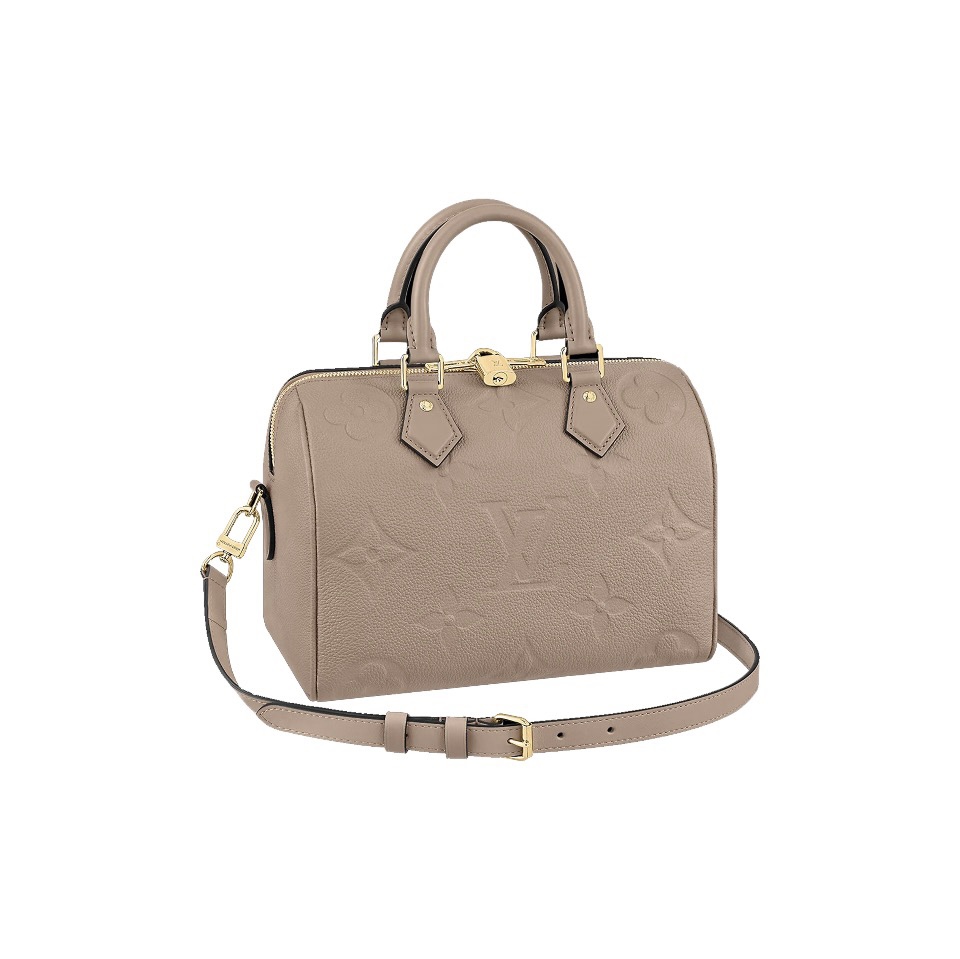 Louis Vuitton LV Speedy 25 Handbag