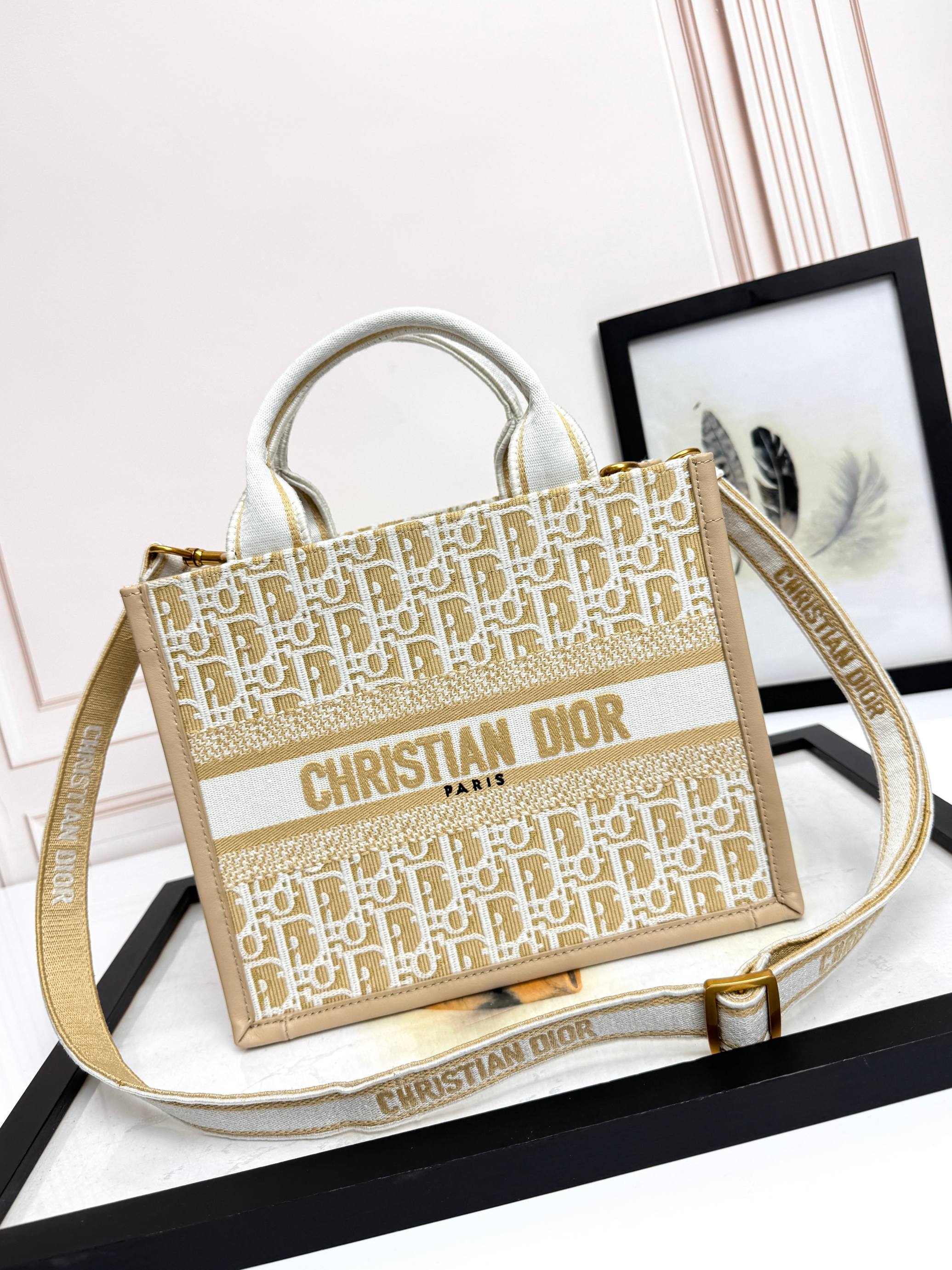 Dior Embroidered Canvas Small  Book Tote with shoulder strap