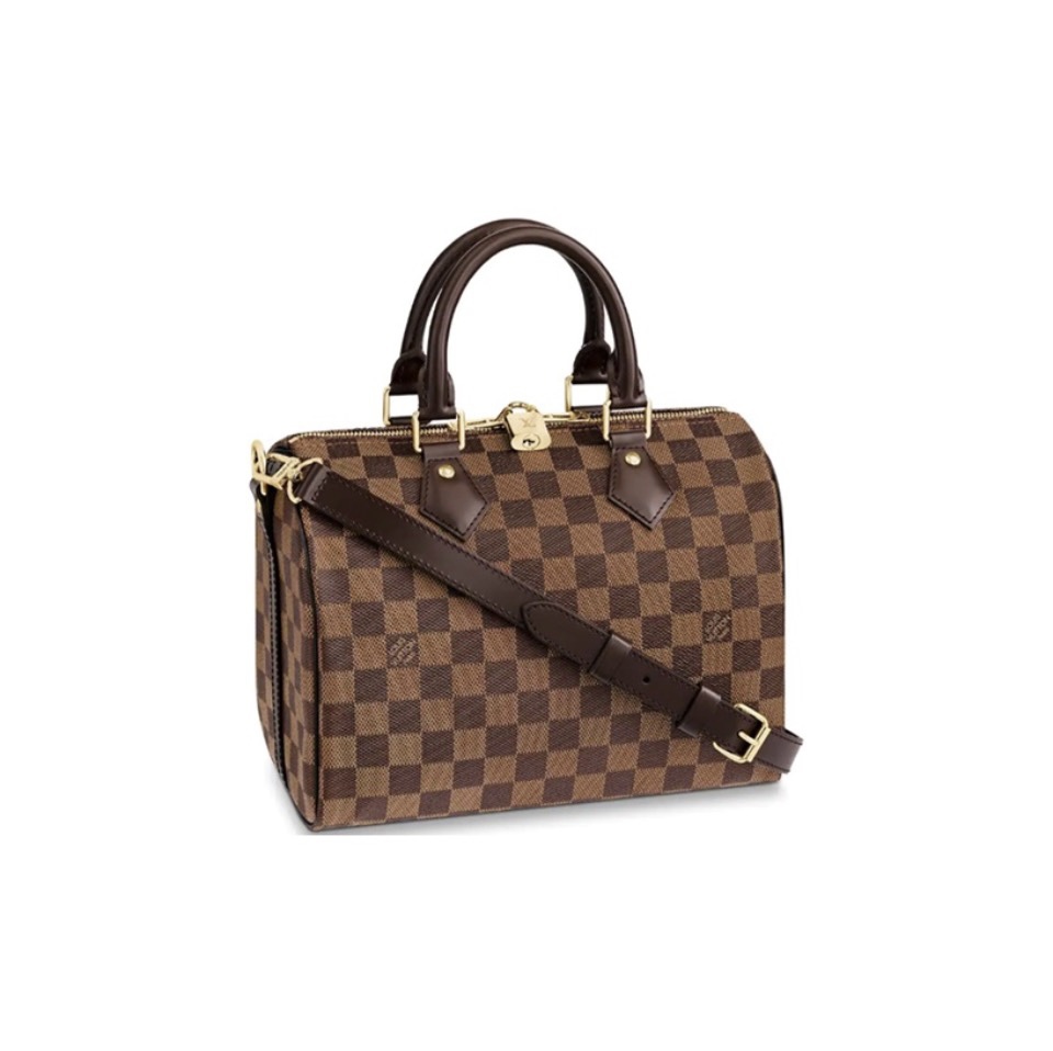 Louis Vuitton LV Speedy 25 Handbag