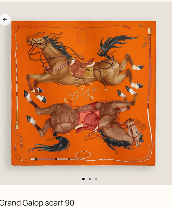 Hermes Silk Square 90cm