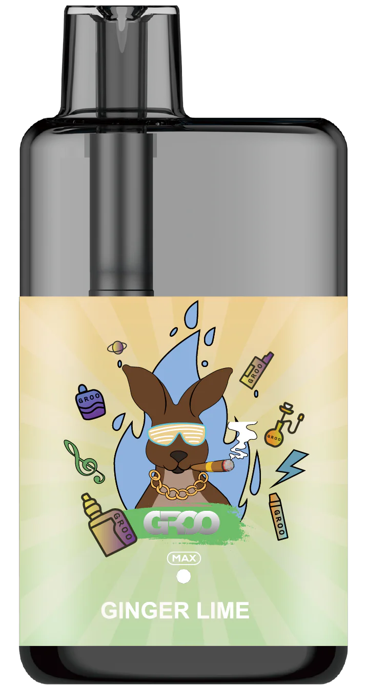 GROO MAX 10K Rechargeable Disposable Vape – Ginger Lime - Vaba Vape-Shop