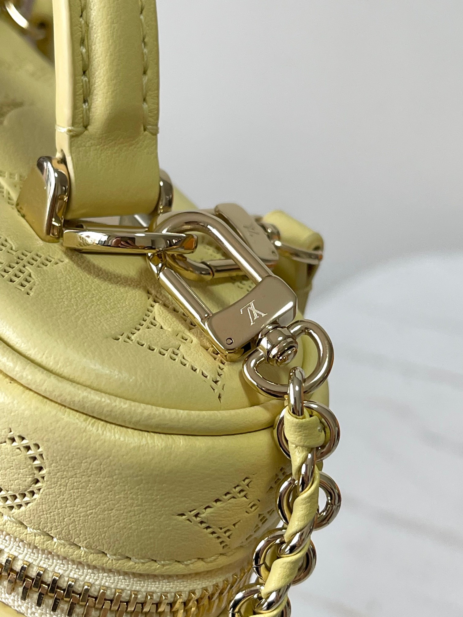 Louis Vuitton Vanity Pouch handbag