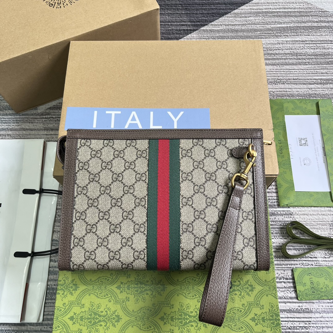 Gucci Ophidia medium pouch760243