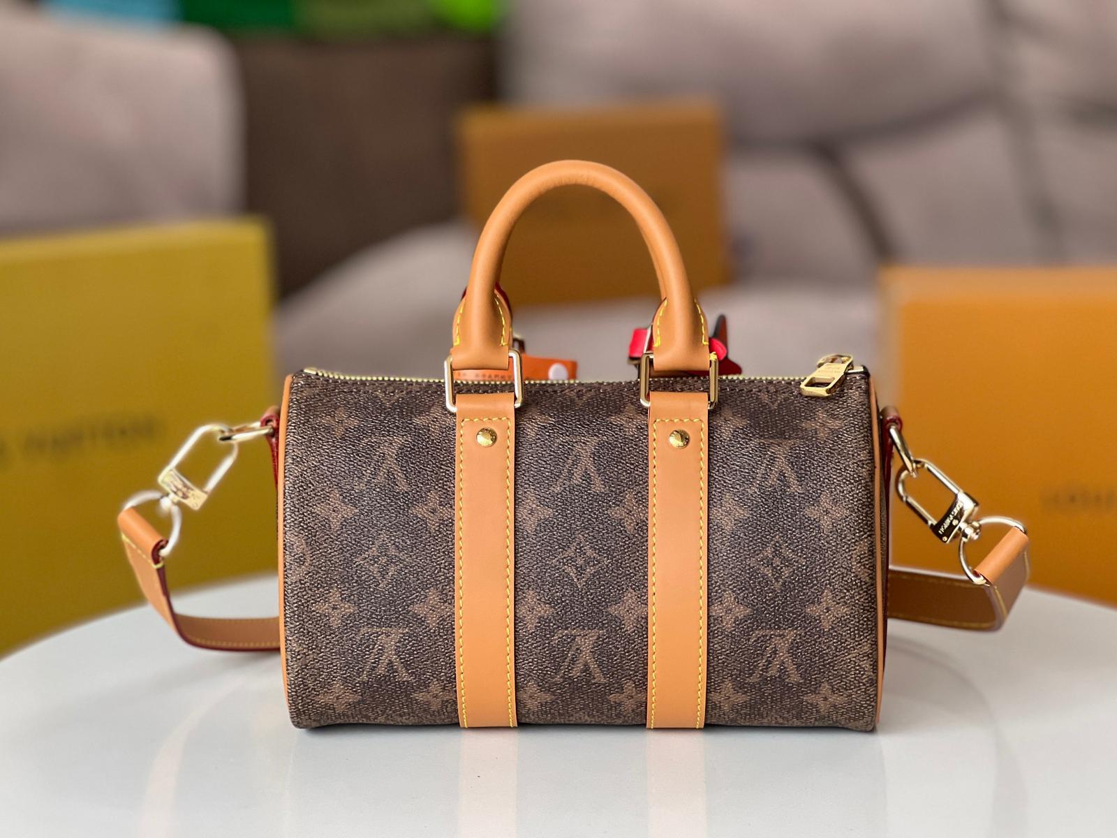 Louis Vuitton LV Keepall Bandoulière 25