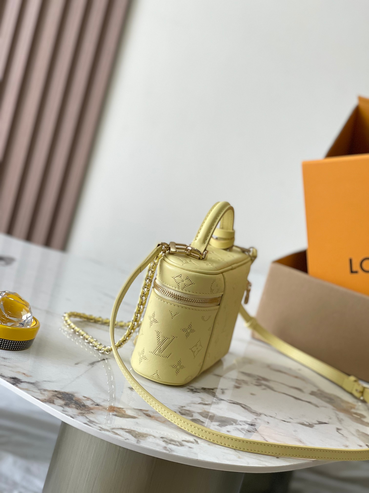 Louis Vuitton Vanity Pouch handbag