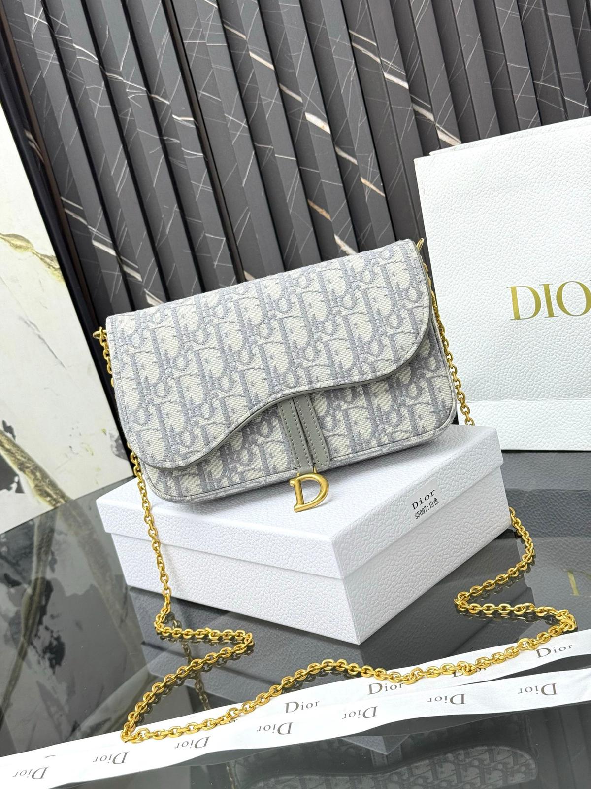 DIOR saddle chain crossbody bag