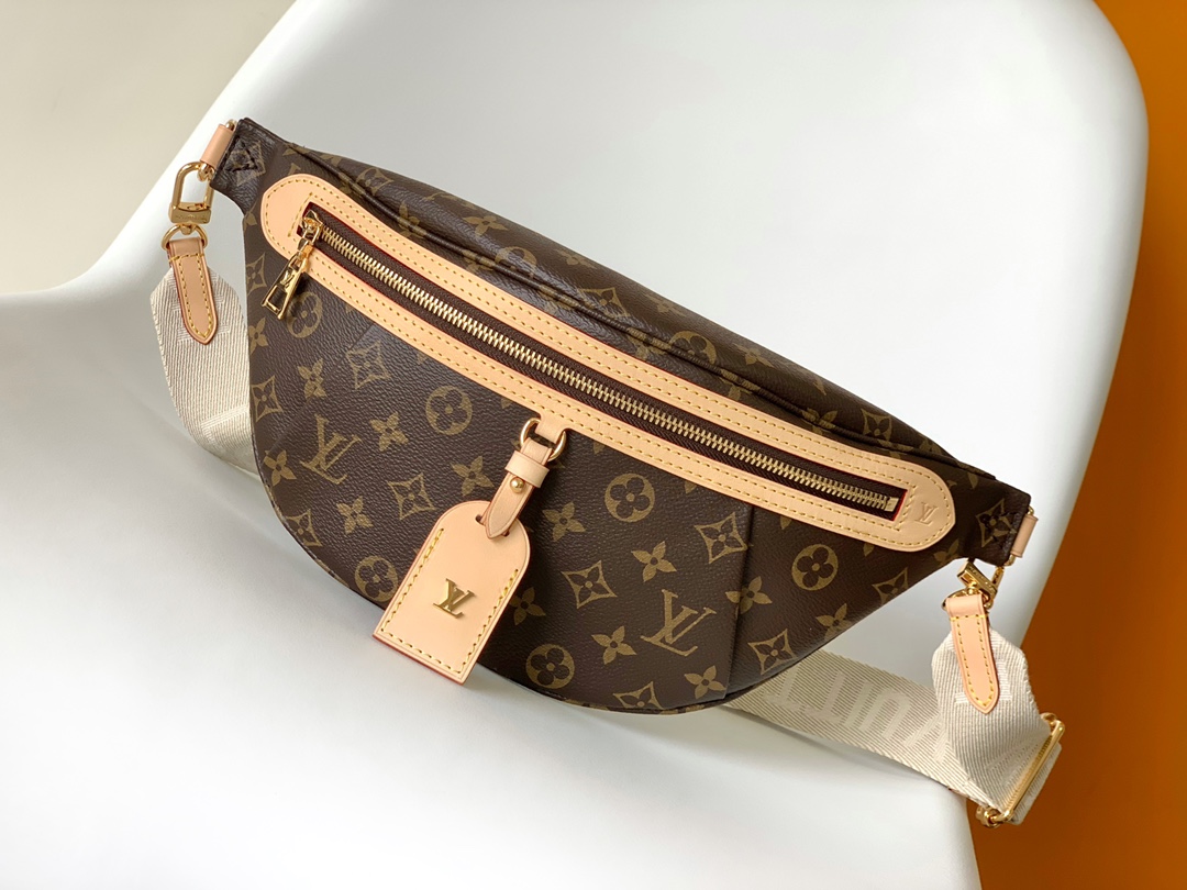 M46784 LV High Rise bumbag in Monogram Canvas