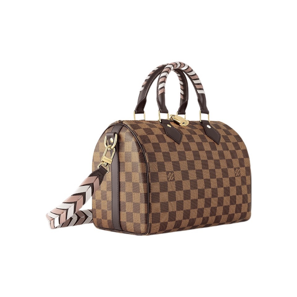 Louis Vuitton LV Speedy 25 Handbag