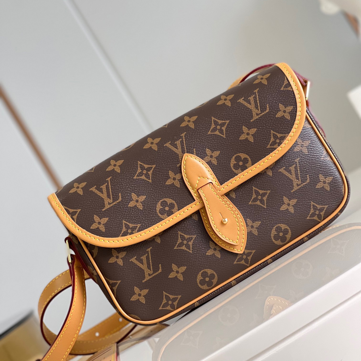 Louis Vuitton LV Gibeciere PM Shoulder Bag M42248