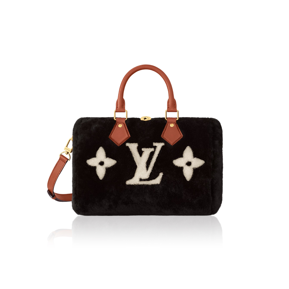 Louis Vuitton LV Speedy Bandoulière 25