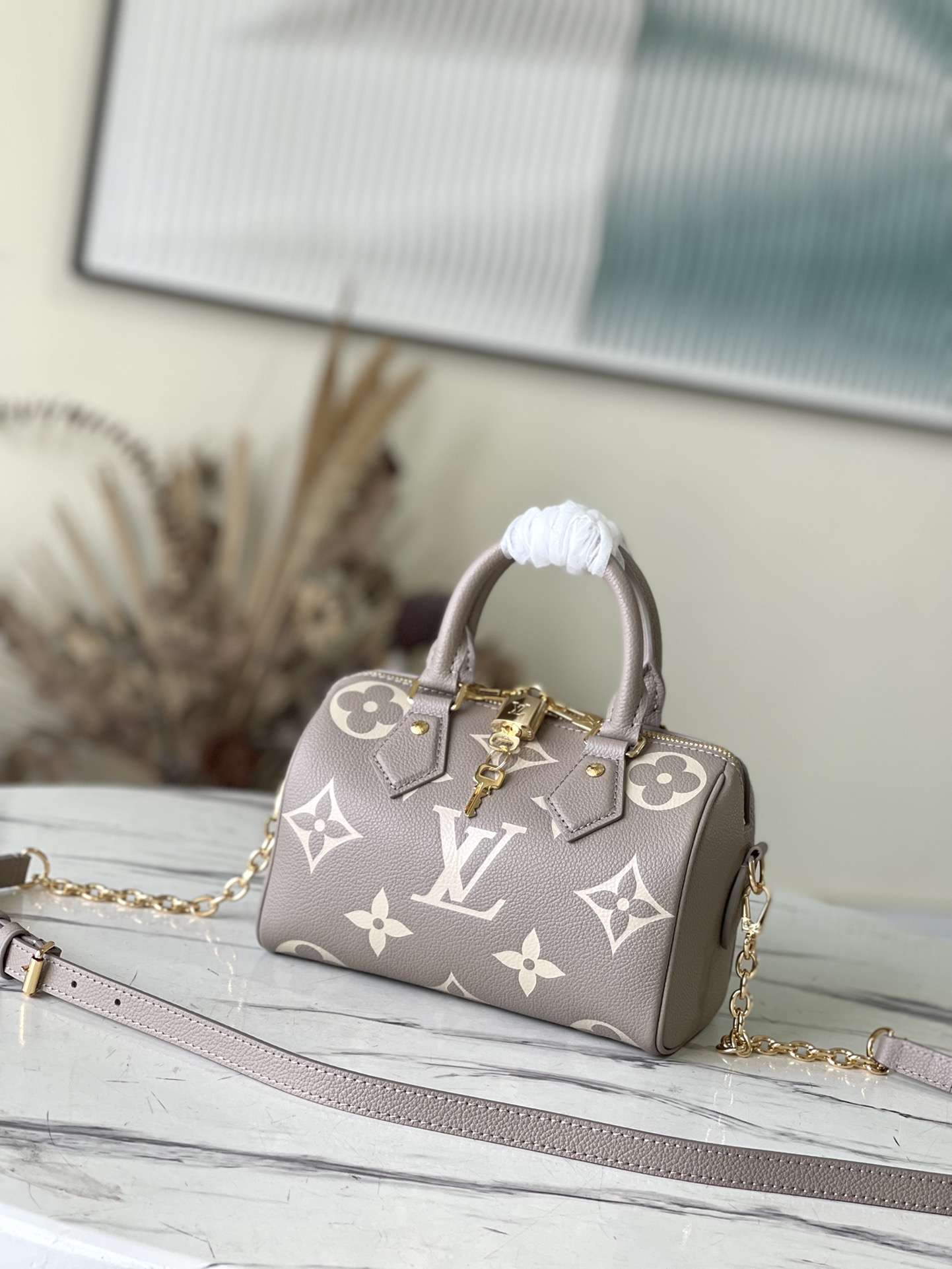 Louis Vuitton LV Speedy Bandouliere Grey M46575